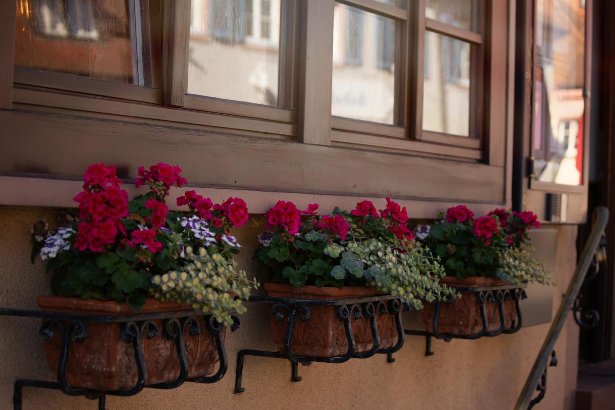 Haus Nilson Appartement Gengenbach Buitenkant foto